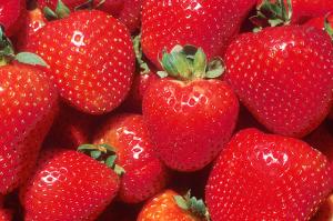 strawberries, a source of fisetin