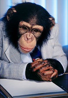 cognitive-enhancers.com